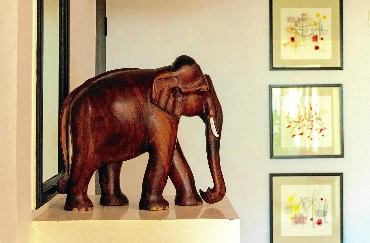Petit Elephant Cherai Beach Zewnętrze zdjęcie